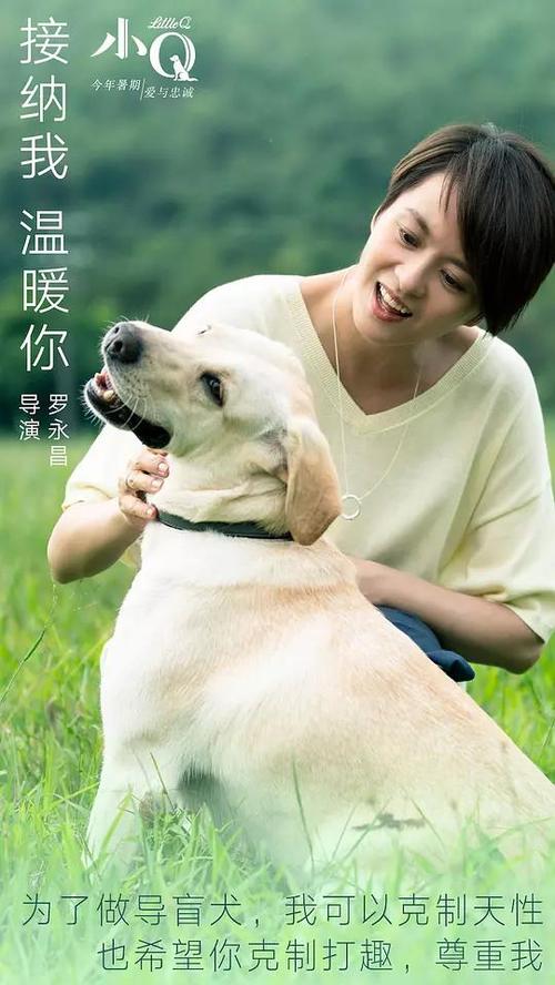 学位证书认证报告编号怎么查